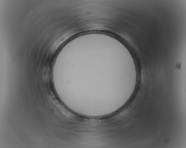 X0000113220873200910081339
