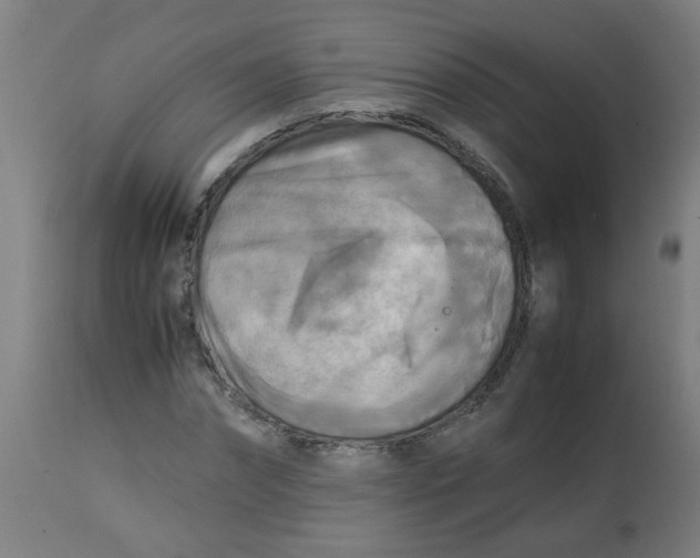 X0000113220874200910081339