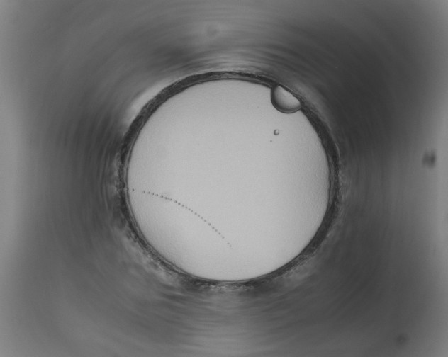 X0000113220875200910081339
