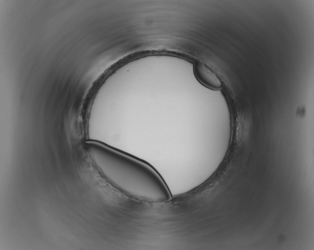 X0000113220876200910081339