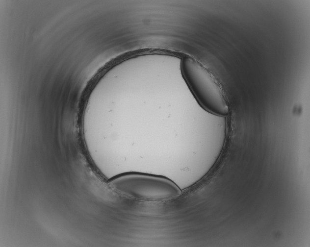 X0000113220880200910081339