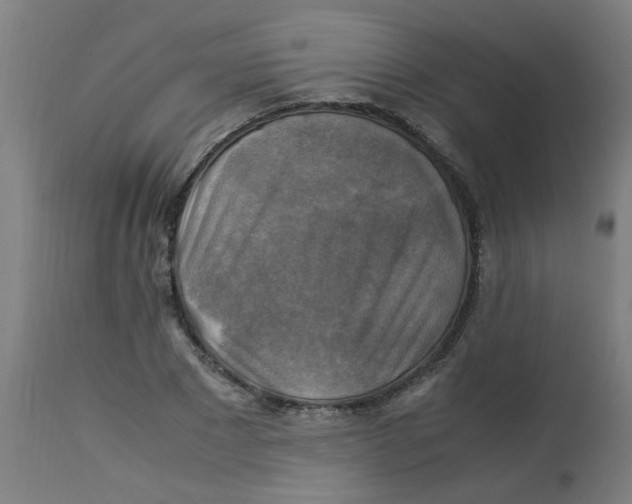 X0000113220881200910081339