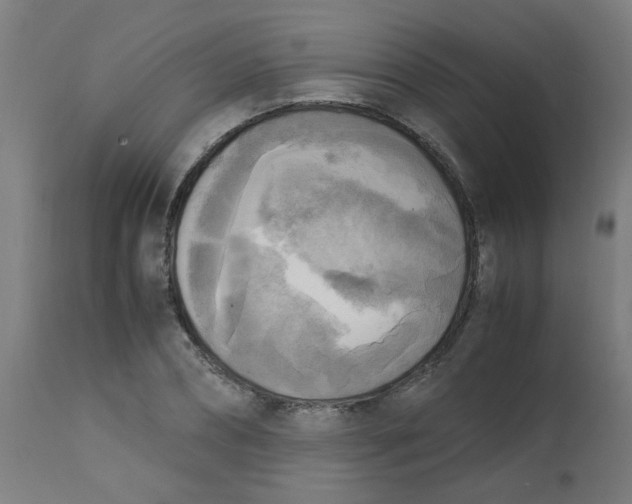 X0000113220882200910081339