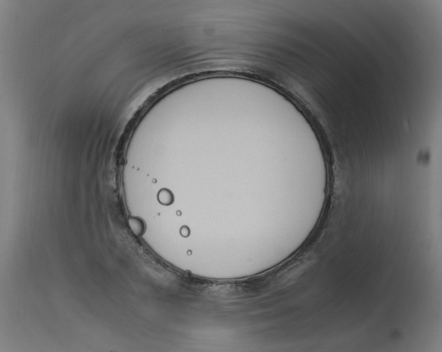 X0000113220883200910081339