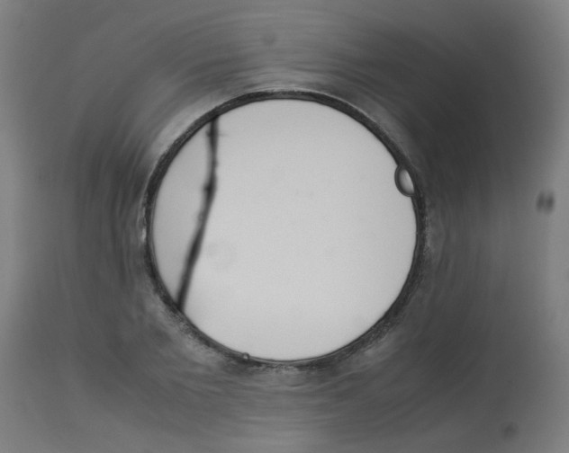 X0000113220885200910081339
