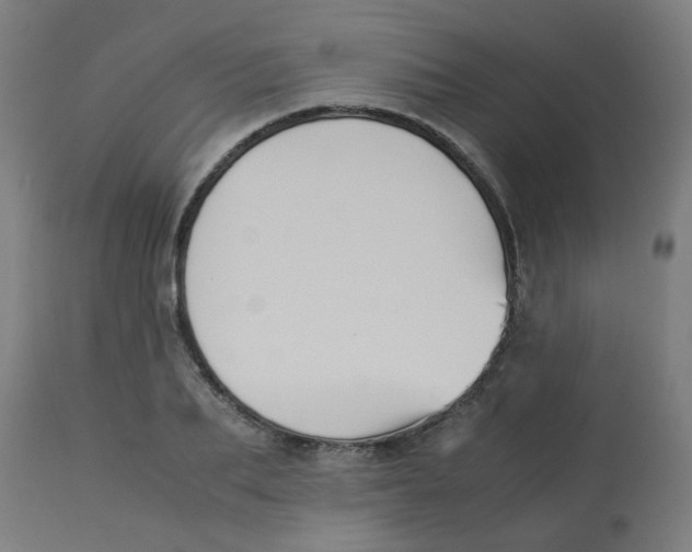 X0000113220887200910081339