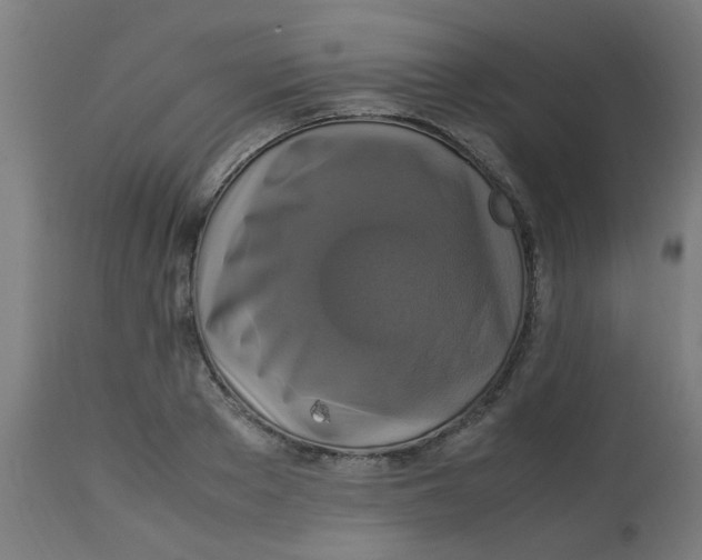 X0000113220889200910081339