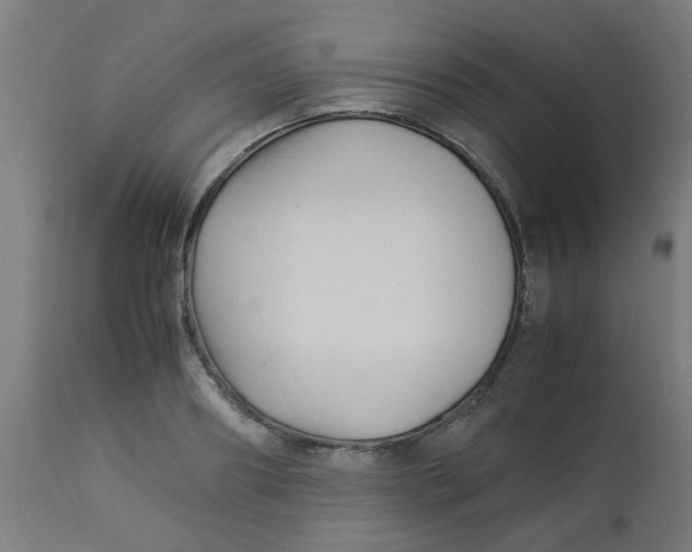 X0000113220890200910081339