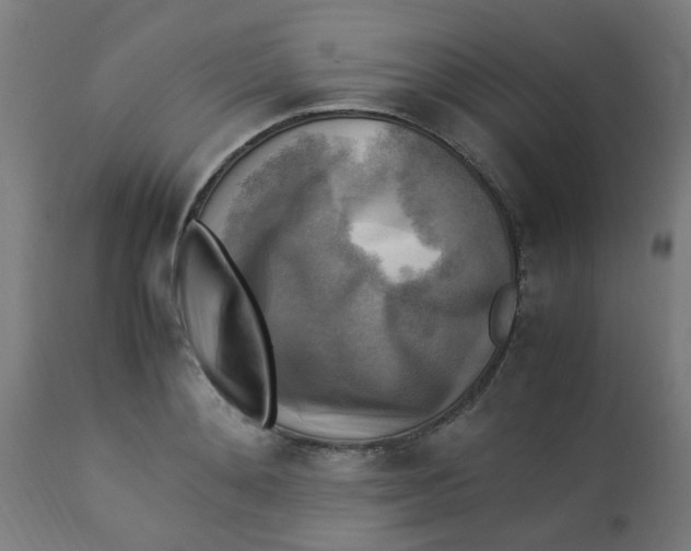 X0000113220892200910081339