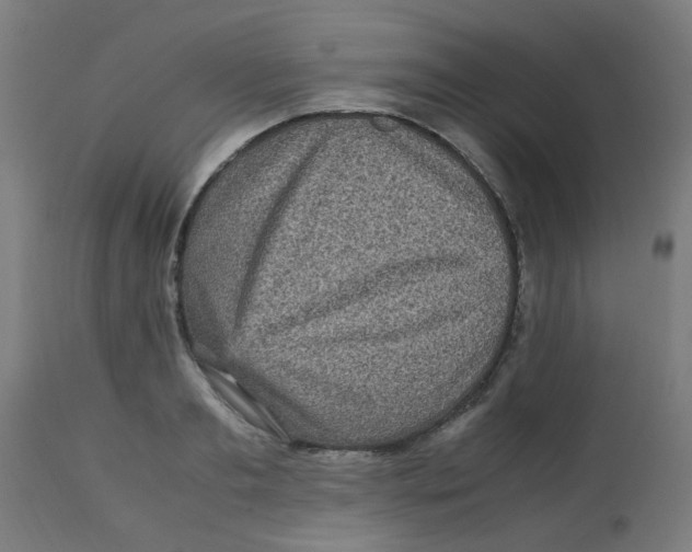 X0000113220893200910081339