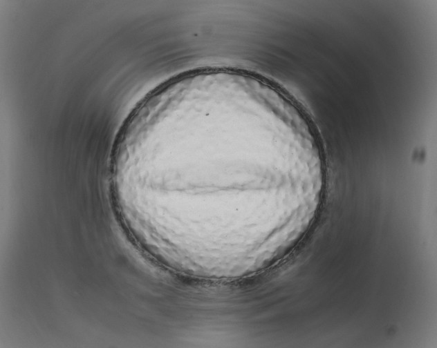 X0000113220895200910081339