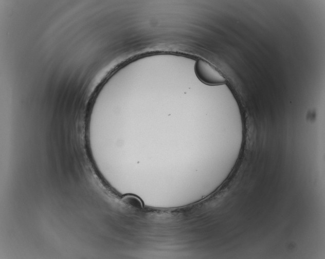 X0000113220896200910081338
