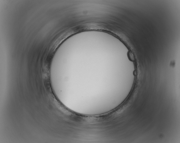 X0000113220897200910081338