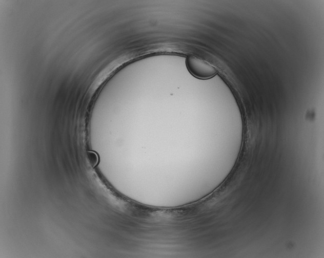 X0000113220898200910081338