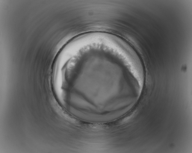X0000113220899200910081338