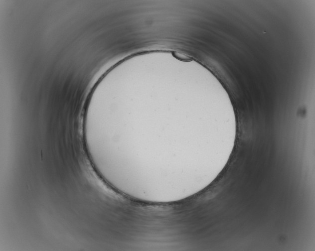 X0000113220900200910081338
