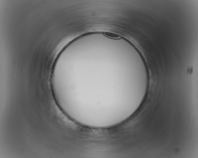 X0000113220901200910081338