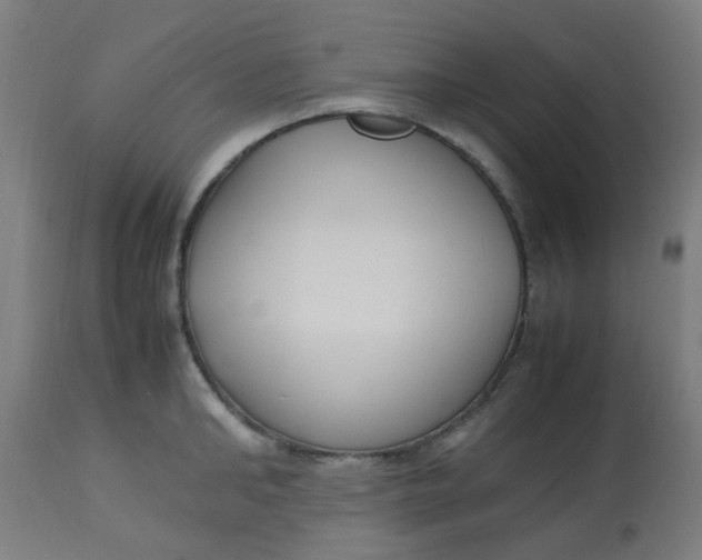 X0000113220902200910081338