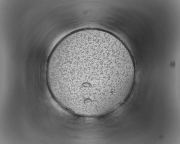 X0000113220903200910081338