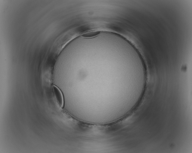 X0000113220905200910081338