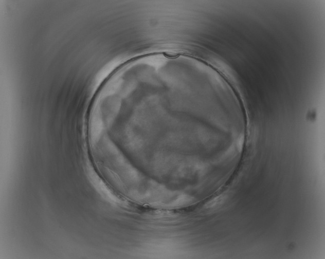 X0000113220907200910081338