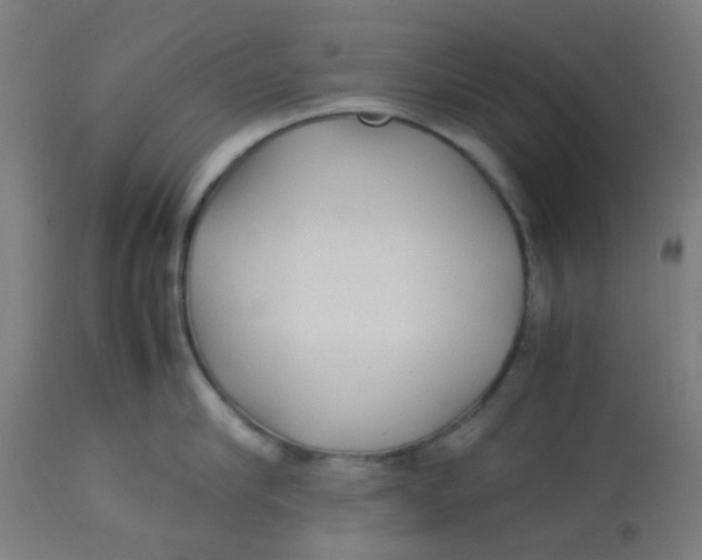 X0000113220910200910081338