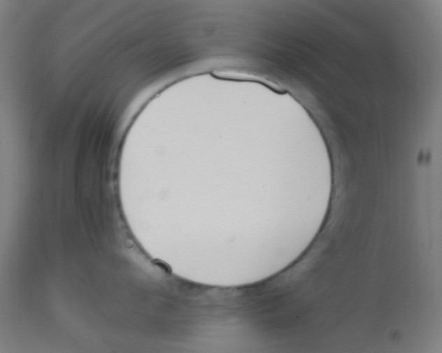 X0000113220912200910081338