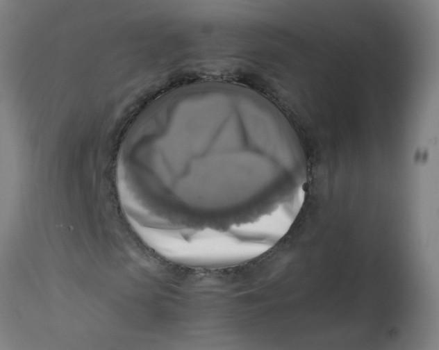 X0000113220913200910081337
