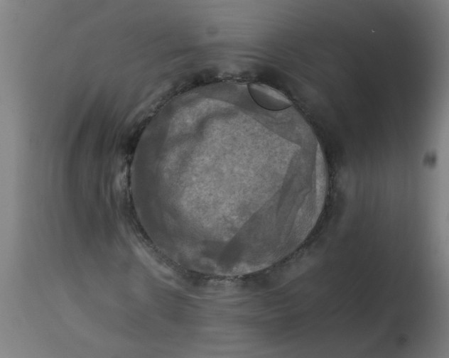X0000113220914200910081337