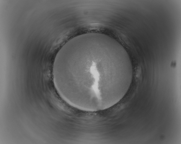 X0000113220916200910081337