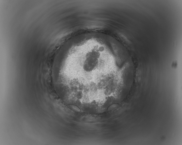 X0000113220917200910081338