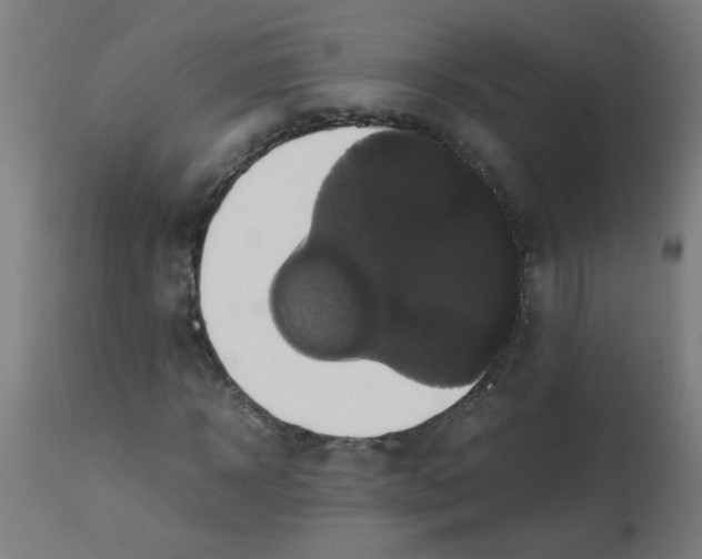 X0000113220918200910081338