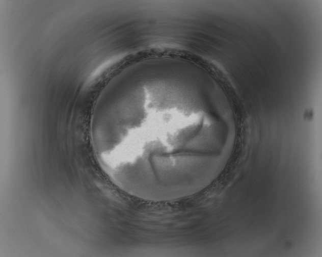 X0000113220919200910081338