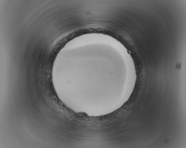 X0000113220920200910081338