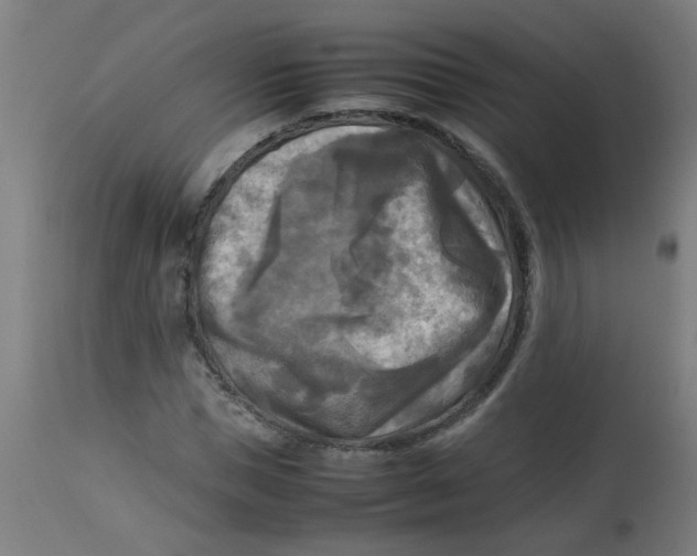 X0000113220921200910081338