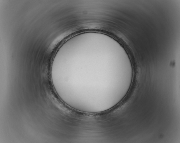 X0000113220922200910081338