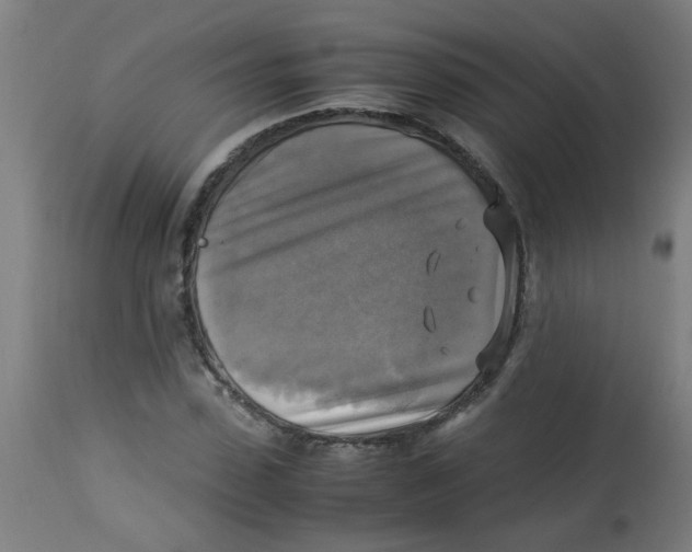 X0000113220923200910081338