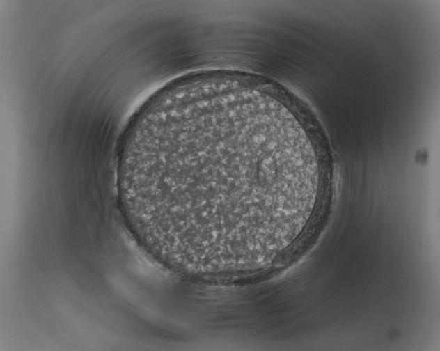X0000113220925200910081338