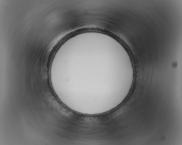 X0000113220927200910081338