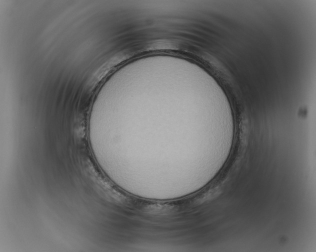 X0000113220929200910081338