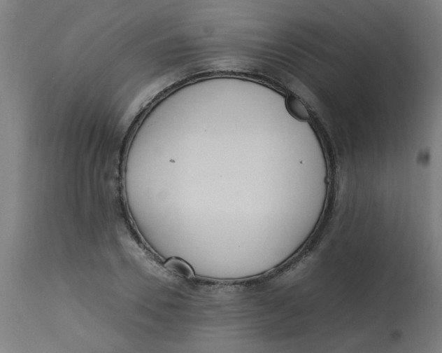 X0000113220930200910081338