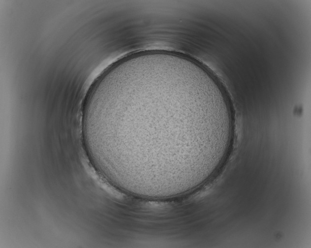 X0000113220933200910081338