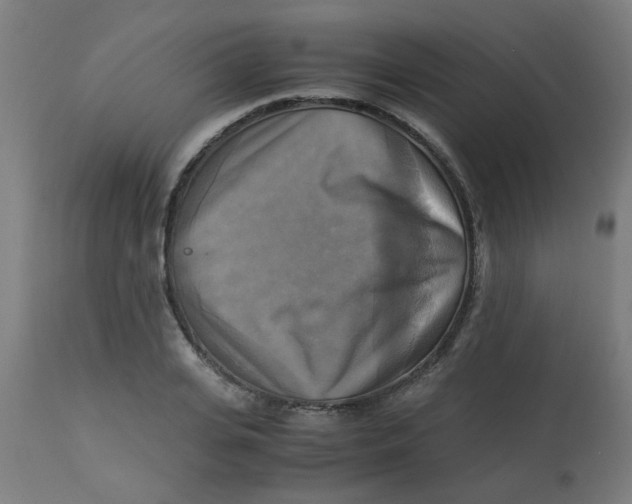 X0000113220935200910081338