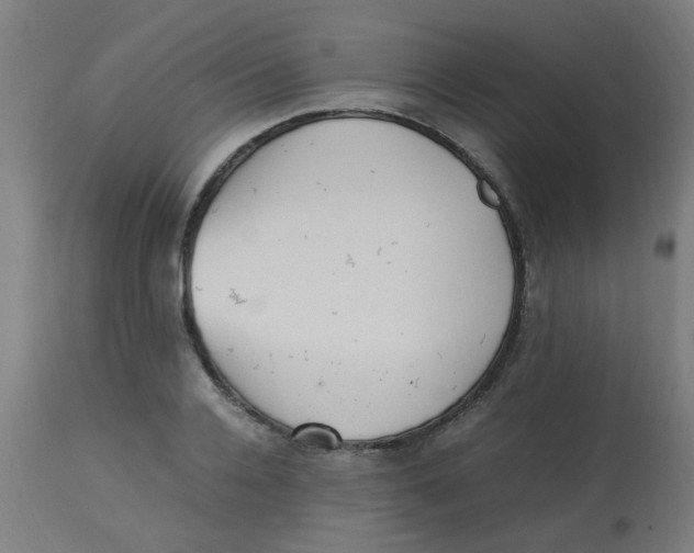 X0000113220936200910081338