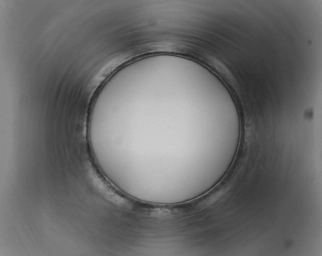 X0000113220938200910081338