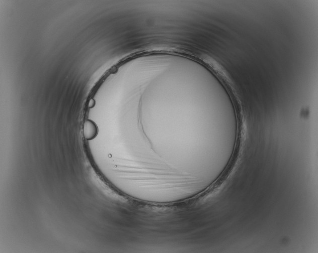 X0000113220941200910081338