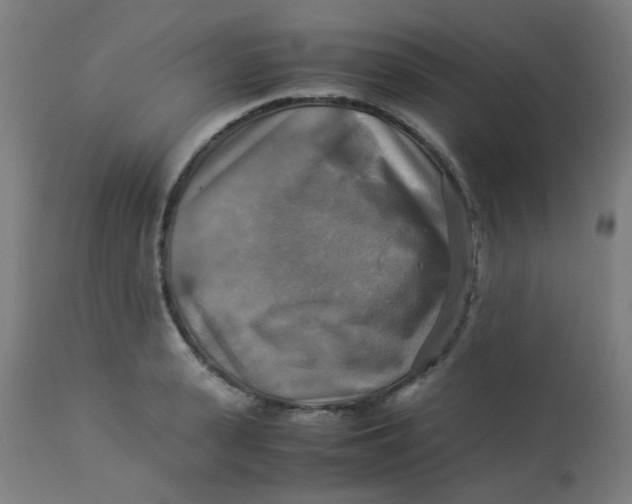 X0000113220943200910081338
