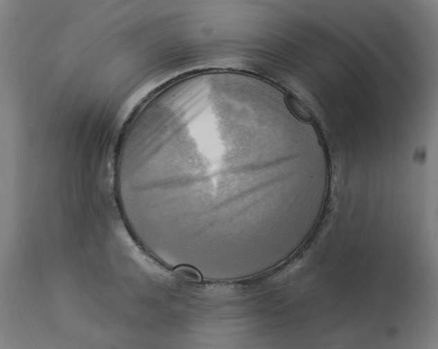 X0000113220944200910081338