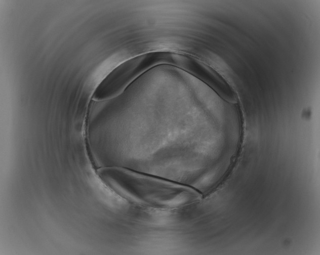 X0000113220946200910081338