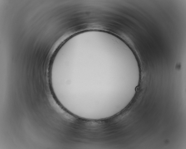 X0000113220947200910081338